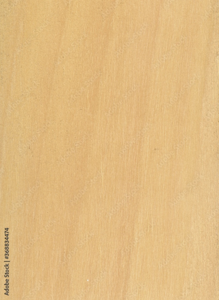 Wood tree exotic pattern asia samples natural Wood tree exotic pattern asia samples natural