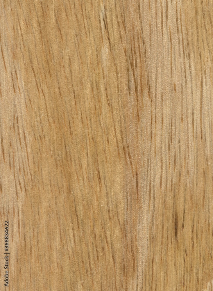 Wood tree exotic pattern asia samples natural Wood tree exotic pattern asia samples natural