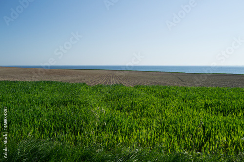 Agricultural Landscape Scenery in Denmark