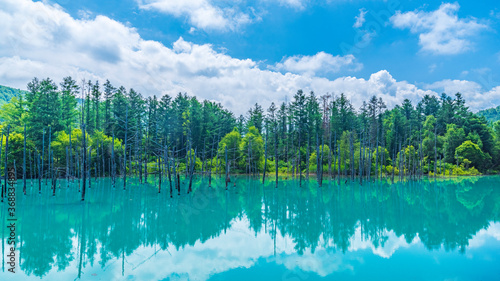 Fotografie 青い池　夏　雲