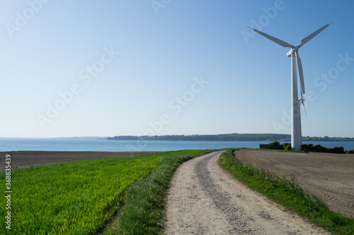 Coastal Landscape Scenery with Wind Turbine in Denmark