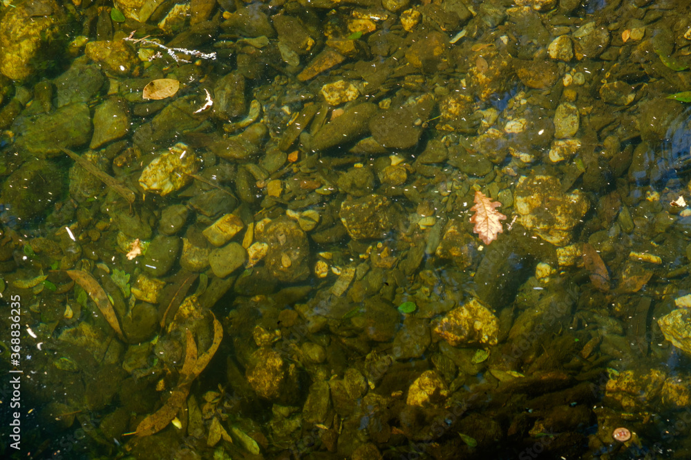 Obraz premium Bosques de Mortagua