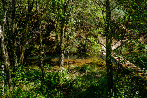 Bosques de Mortagua