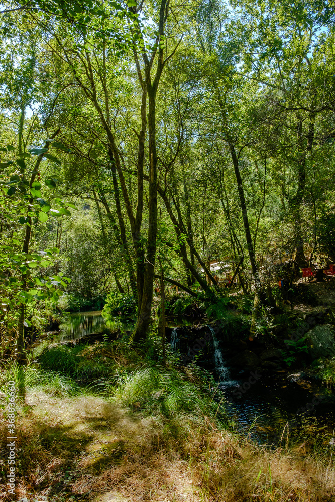 Naklejka premium Bosques de Mortagua