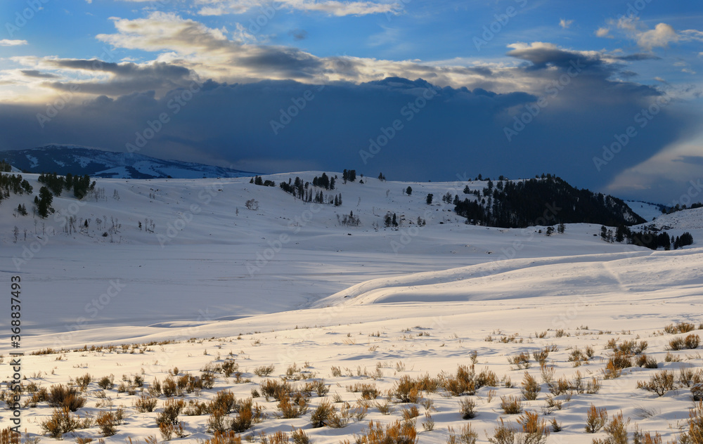 Winter sunset in Lamar Valley Yellowstone National Park Wyoming