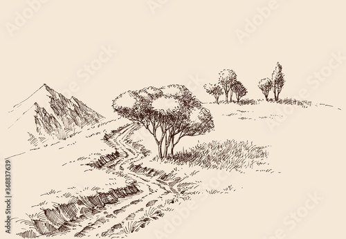 Mountain landscape and a beautiful alpine meadow hand drawing