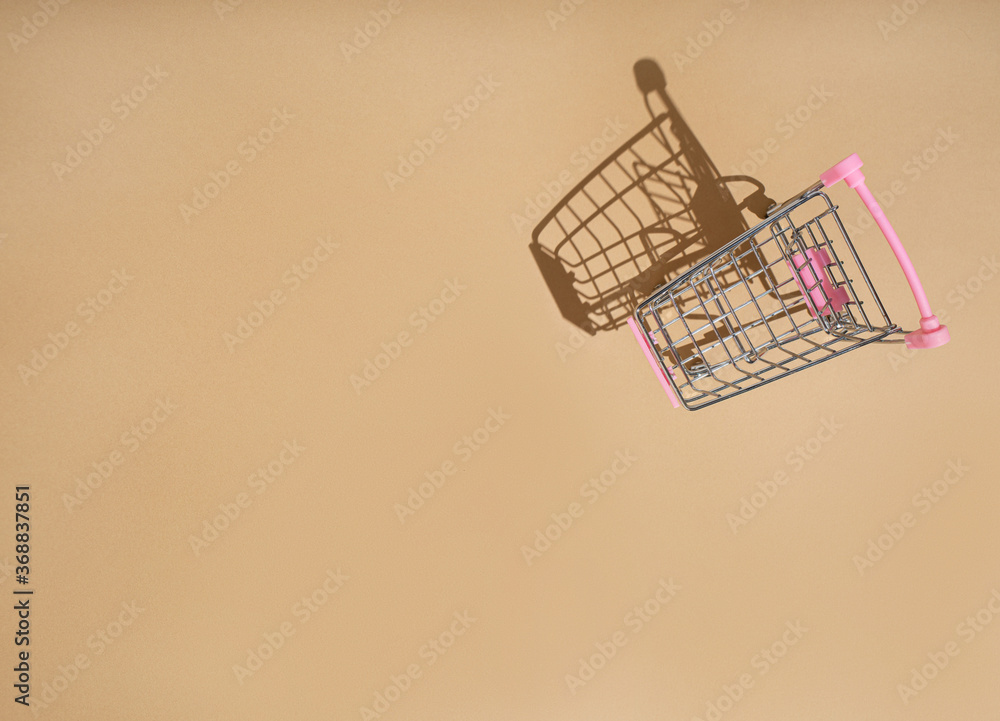 Shopping cart and online shopping during quarantine Shopping cart and online shopping during quarantine