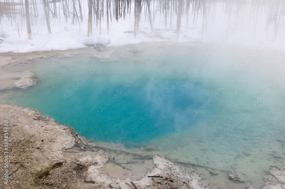 Steaming emerald water of Cistern Spring with dead trees in winter at Norris Geyser Basin Yellowstone Park Steaming emerald water of Cistern Spring with dead trees in winter at Norris Geyser Basin Yellowstone Park