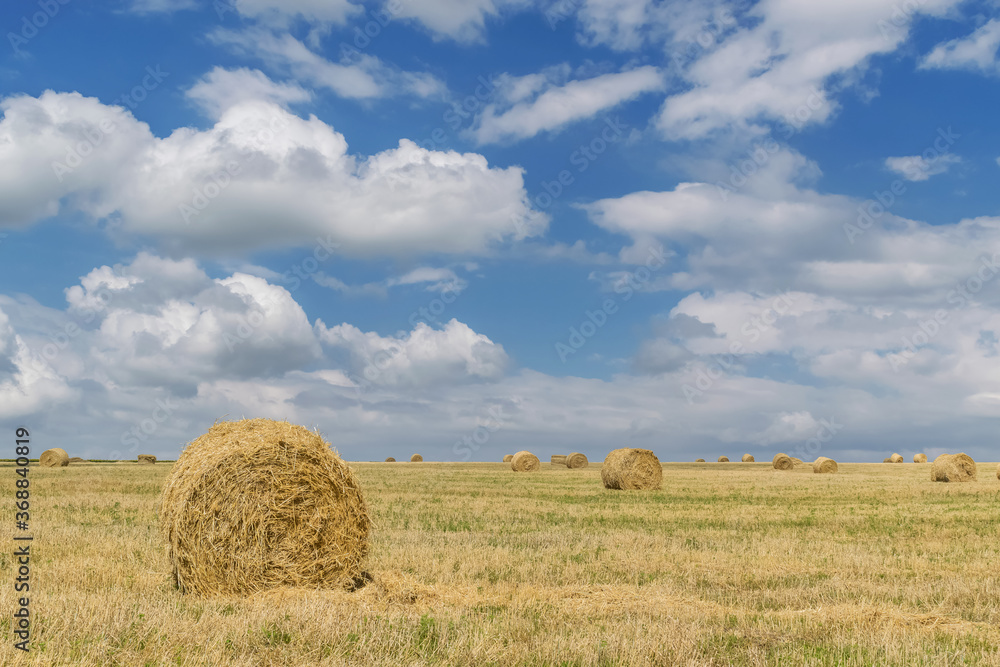 Fields with mown wheat and a sheaf with clouds in the sky in the village of Bobrovka