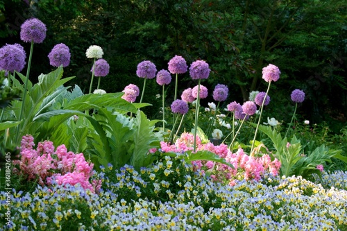Slika na platnu flowering garden in the spring, duke garden,nc,Durham