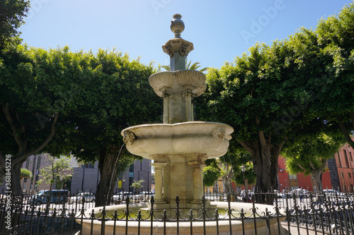 fountain or spring between green trees