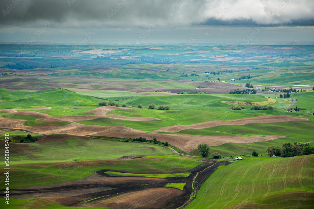 A view from the top of Steptoe Butte  of wheat farms in the spring in the Palouse region of eastern Washington.