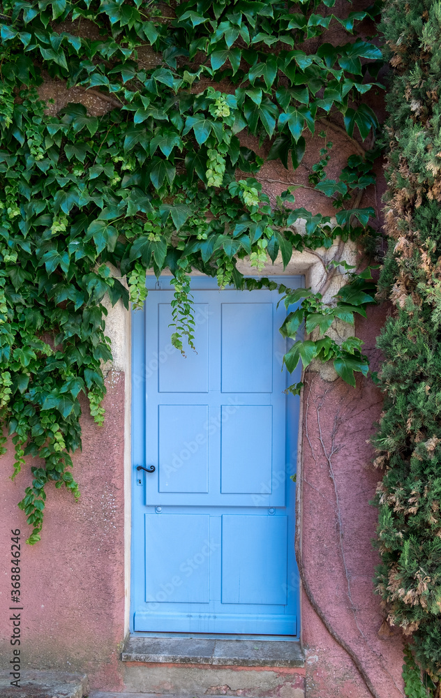 Provence style blue wooden door with vine leaves Provence style blue wooden door with vine leaves