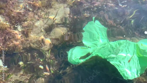 Ocean plastic pollution concept with used old plastic bag floating in the seashore water