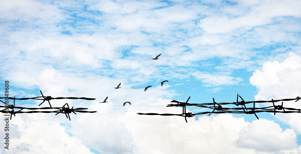 Barbed wire on bright sky background and Birds, Open up your mind and ideas concept, Think out of the box concept, peace concept Barbed wire on bright sky background and Birds, Open up your mind and ideas concept, Think out of the box concept, peace concept