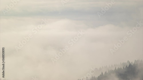 Timelapse carpathian mountains and forest in fog
