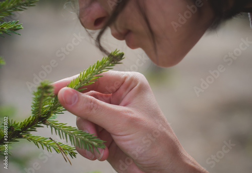 a girl sniffs a branch of a fir tree in the forest