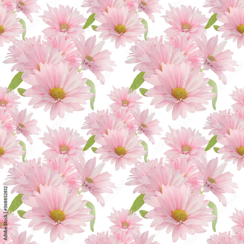 Seamless floral design with pink daisy flowers for background