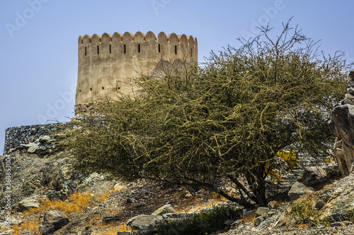 Al Bidyah Mosque is oldest worship and heritage complex (1446) in United Arab Emirates and is popular place for residents and tourists. Al Bidyah is approximately 50 km north from Fujairah city. photo