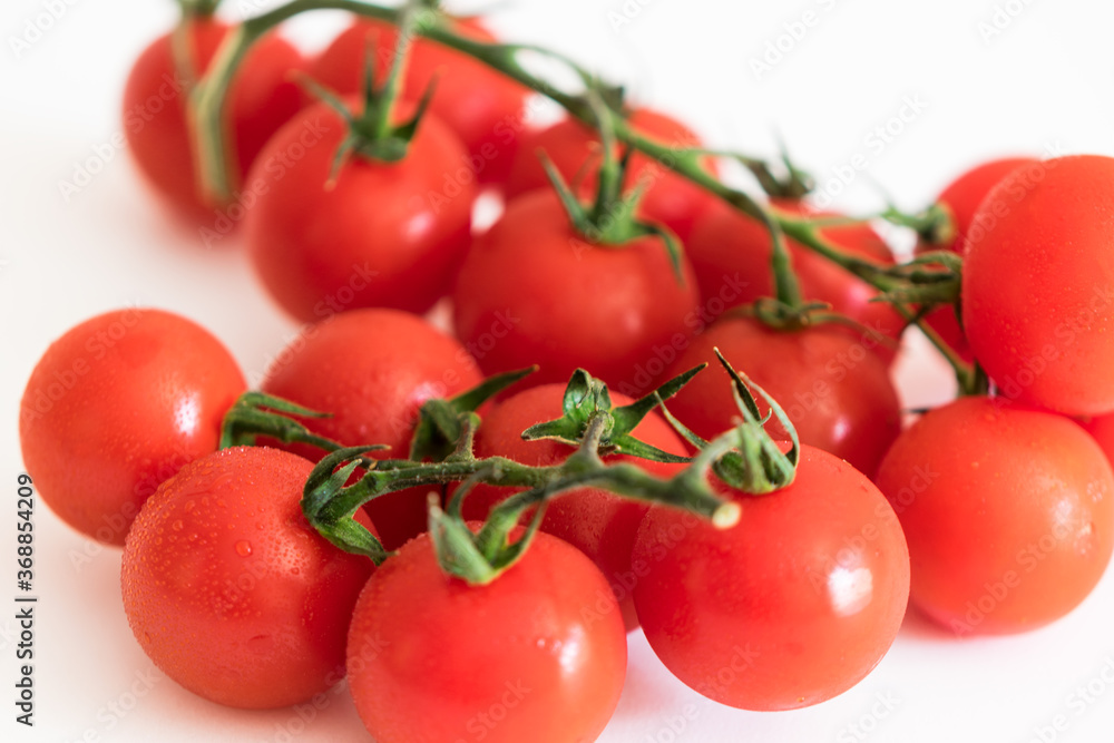 fresh red tomatoes on a green branch fresh red tomatoes on a green branch