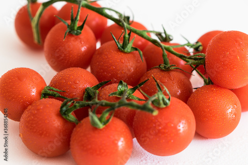 fresh red tomatoes on a green branch