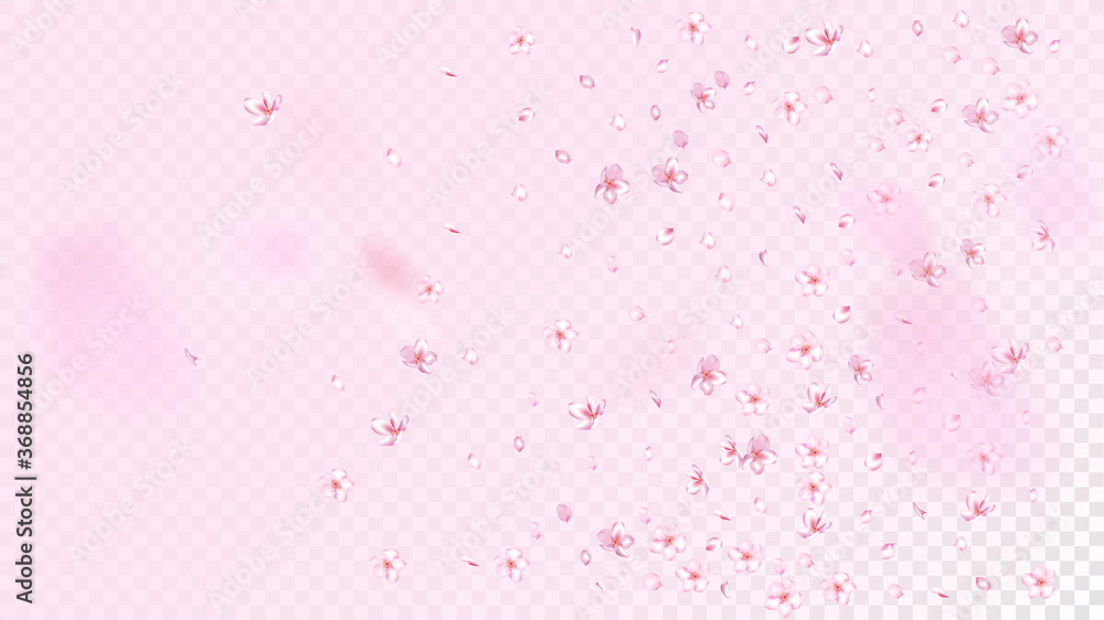 Nice Sakura Blossom Isolated Vector. Beautiful Blowing 3d Petals Wedding Pattern. Japanese Nature Flowers Illustration. Valentine, Mother's Day Watercolor Nice Sakura Blossom Isolated on Rose