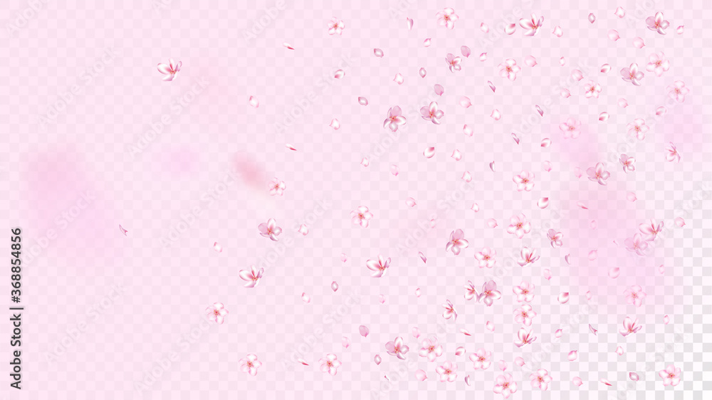 Nice Sakura Blossom Isolated Vector. Beautiful Blowing 3d Petals Wedding Pattern. Japanese Nature Flowers Illustration. Valentine, Mother's Day Watercolor Nice Sakura Blossom Isolated on Rose Nice Sakura Blossom Isolated Vector. Beautiful Blowing 3d Petals Wedding Pattern. Japanese Nature Flowers Illustration. Valentine, Mother's Day Watercolor Nice Sakura Blossom Isolated on Rose