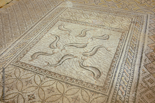Mosaicos de la casa de Orfeo.Ciudad Romana de Volubilis(II d.c.), yacimiento arqueologico.Marruecos.