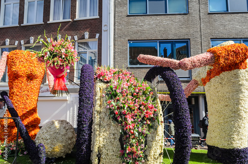 A parade of flowers in Haarlem. Haarlem, Netherlands