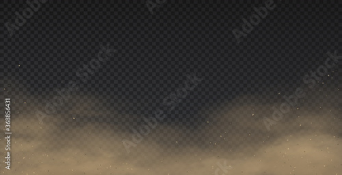 Realistic dust. Smoke effect and 3D mud powder pollution, sand storm template isolated on transparent background. Vector dust smog with sand particles in motion atmospheric air fog
