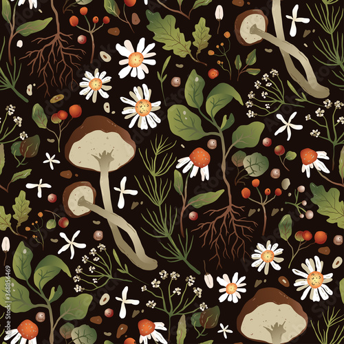 Handdrawn trendy forest background in a flat style. Seamless chamomile and mushrooms pattern. Herbs and flowers vector floral autumn design.