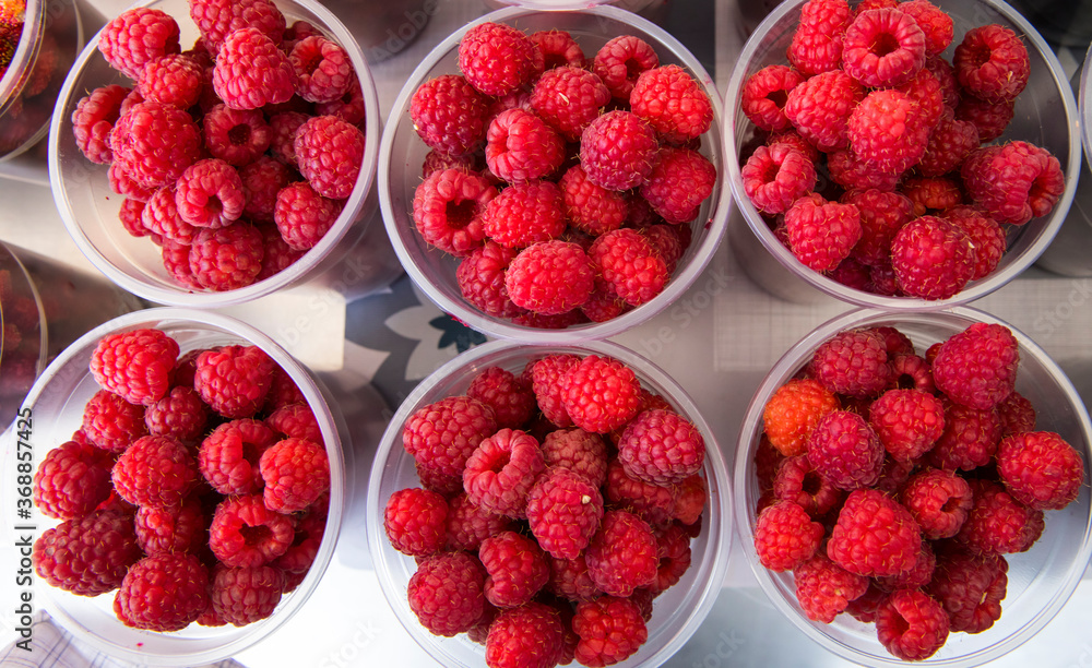 Growing Organic Berries Closeup. Red raspberry isolate. Raspberries background. Fresh red berries of ripe raspberries. Growing Organic Berries Closeup. Red raspberry isolate. Raspberries background. Fresh red berries of ripe raspberries.