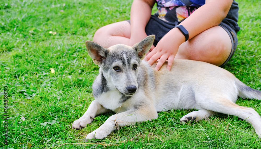 happy dog laying near teenager boy on the grass. togetherness and friendship concept. happy dog laying near teenager boy on the grass. togetherness and friendship concept.