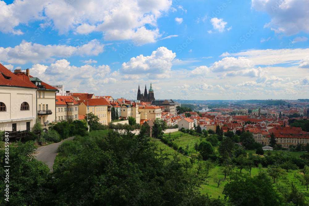 Prague vineyards in Hradcany against the background of St. Vitus Cathedral on a Sunny summer day under the clouds.