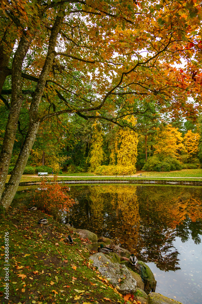 autumn landscape in the Botanical park autumn landscape in the Botanical park