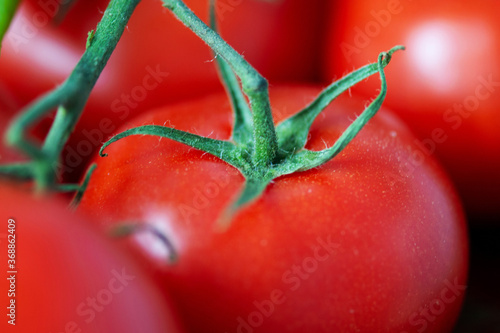 Red tomato close up © Roman