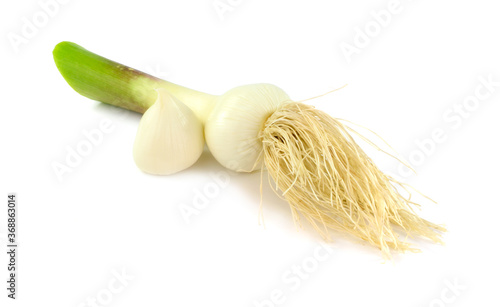 Allium Aflatunense Medicinal and Culinary Plant Bulb Head and Clove. Isolated on White Background. photo