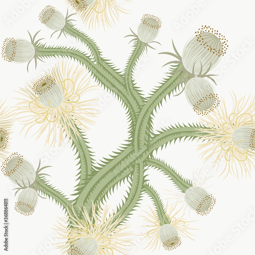 Vector seamless pattern with flowering cactus. Floral tropical background with succulent desert plants, cacti on white backdrop. Hand drawn botanical illustration. Repeat design for print, wallpapers