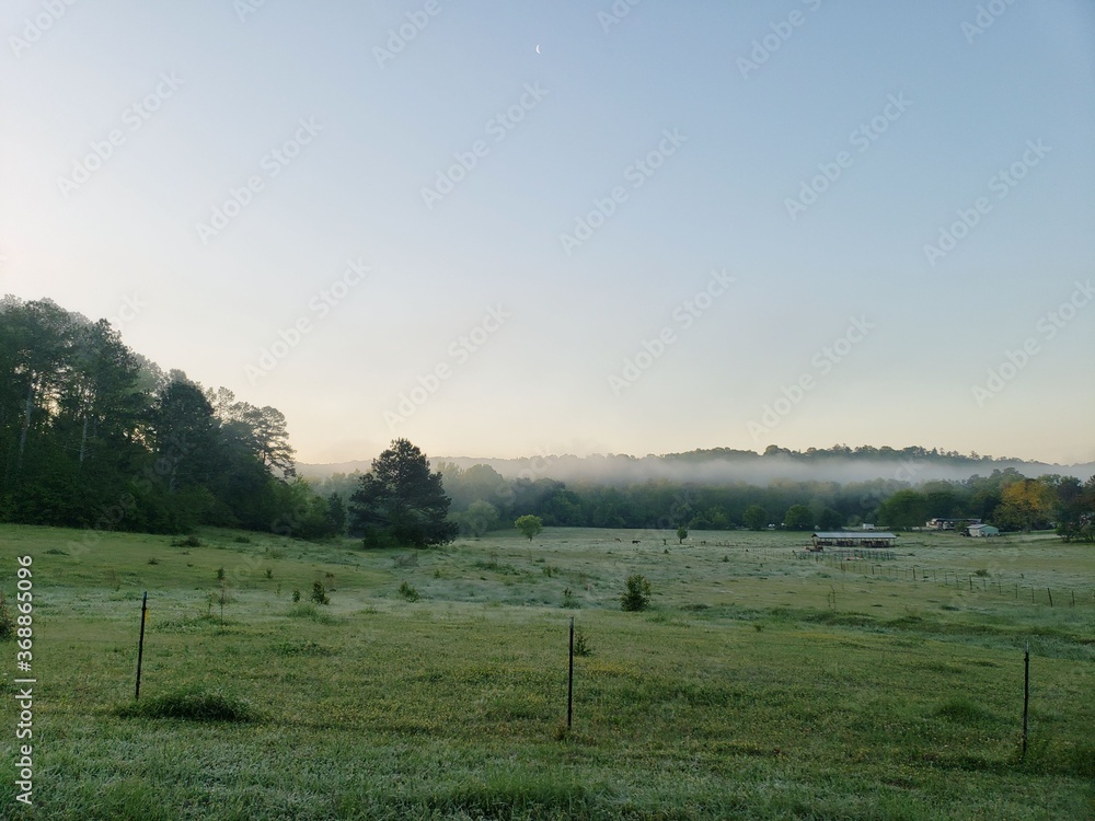 mist on a field mist on a field