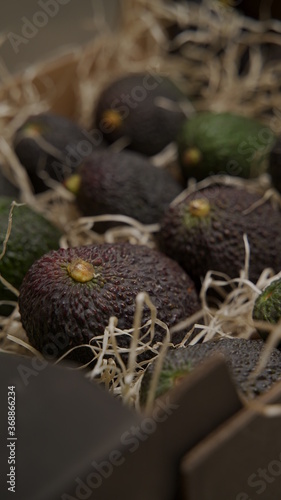 Avocado 
