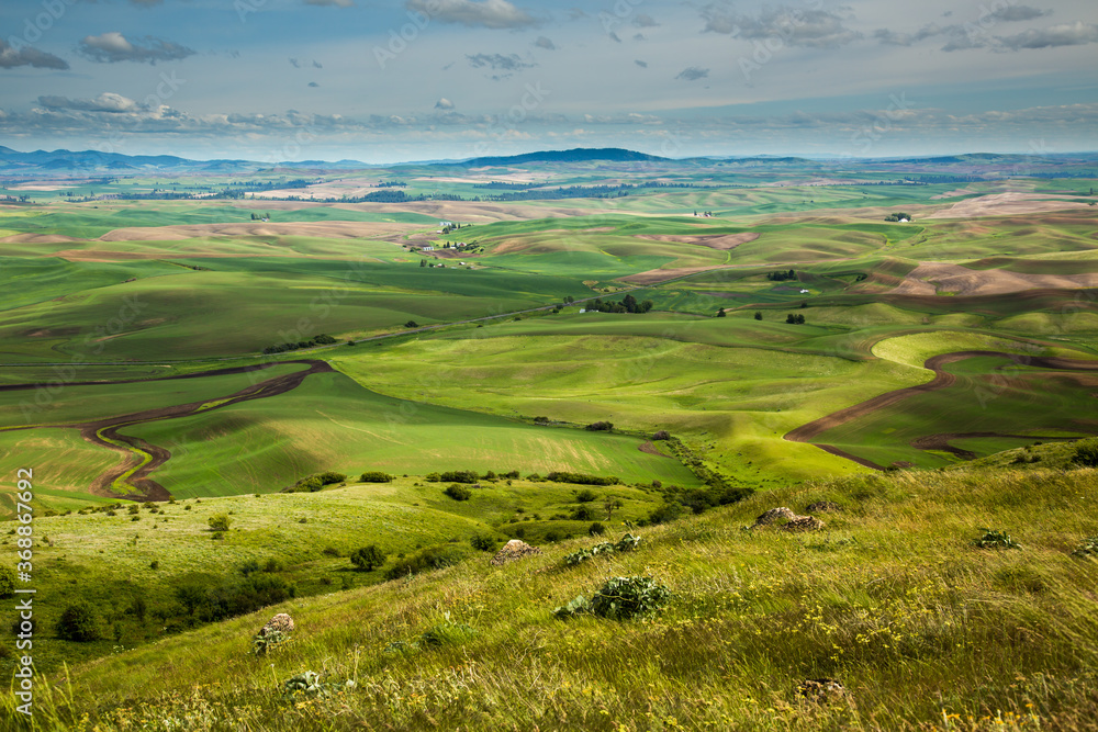An elevated view of wheat feilds and summer fallow land in the Palouse region of eastern washington