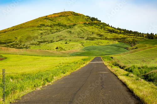 Obraz na plátně Steptoe butte and a paved road leading to it, the palouse country in eastern washington