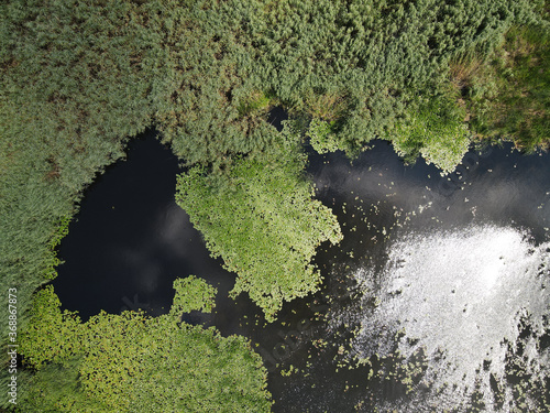 Danube Delta in Somova village, Dobrogea region,  Romania. Aerial view. photo