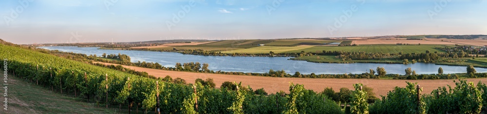 Panoramaaufnahme des Süßen See mit Weinberg und Landwirtschaft in der Umgebung
