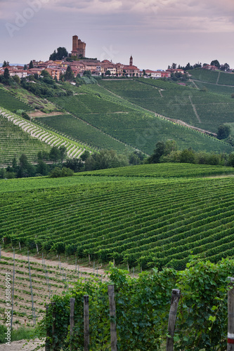 Small village in the Langhe vineyards hills