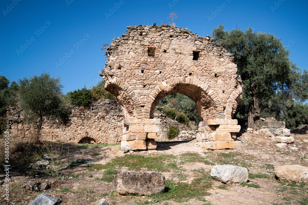the entrance gate of nysa on the meander ancient city