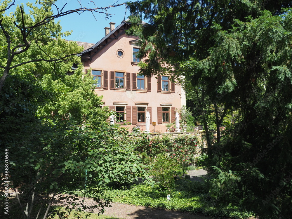 Deidesheim – Rieslingstadt in Rheinland-Pfalz