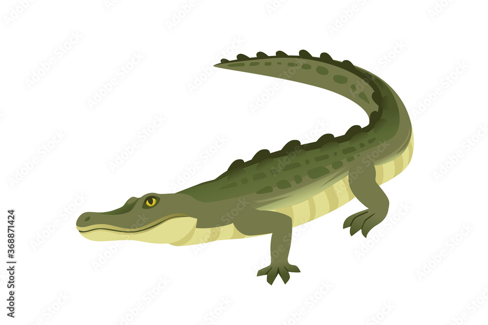 Fototapeta premium Green crocodile character big carnivore reptile cartoon animal design flat vector illustration isolated on white background