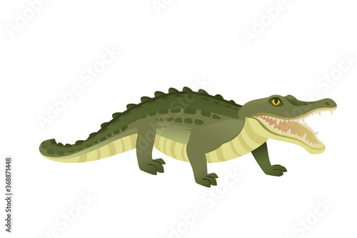Green crocodile character big carnivore reptile cartoon animal design flat vector illustration isolated on white background © An-Maler