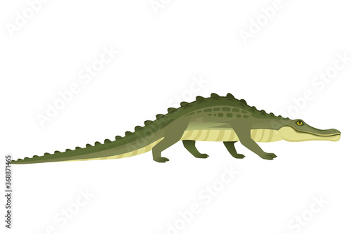 Green crocodile character big carnivore reptile cartoon animal design flat vector illustration isolated on white background